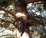 May 13, 2011 video MOV05263.mp4